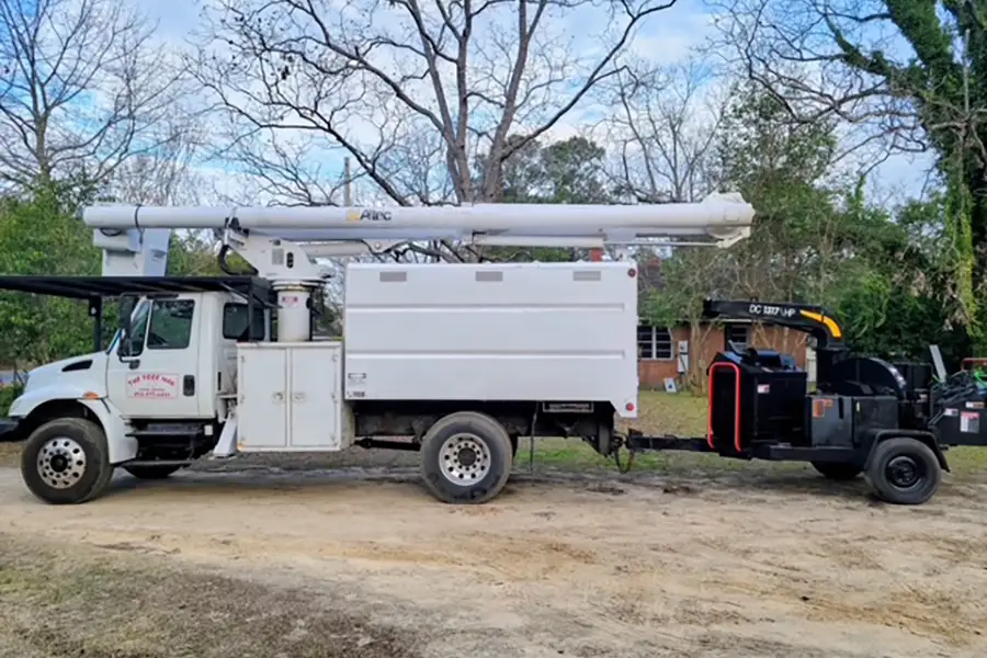 Reliable Tree Expert in Myrtle Beach, SC